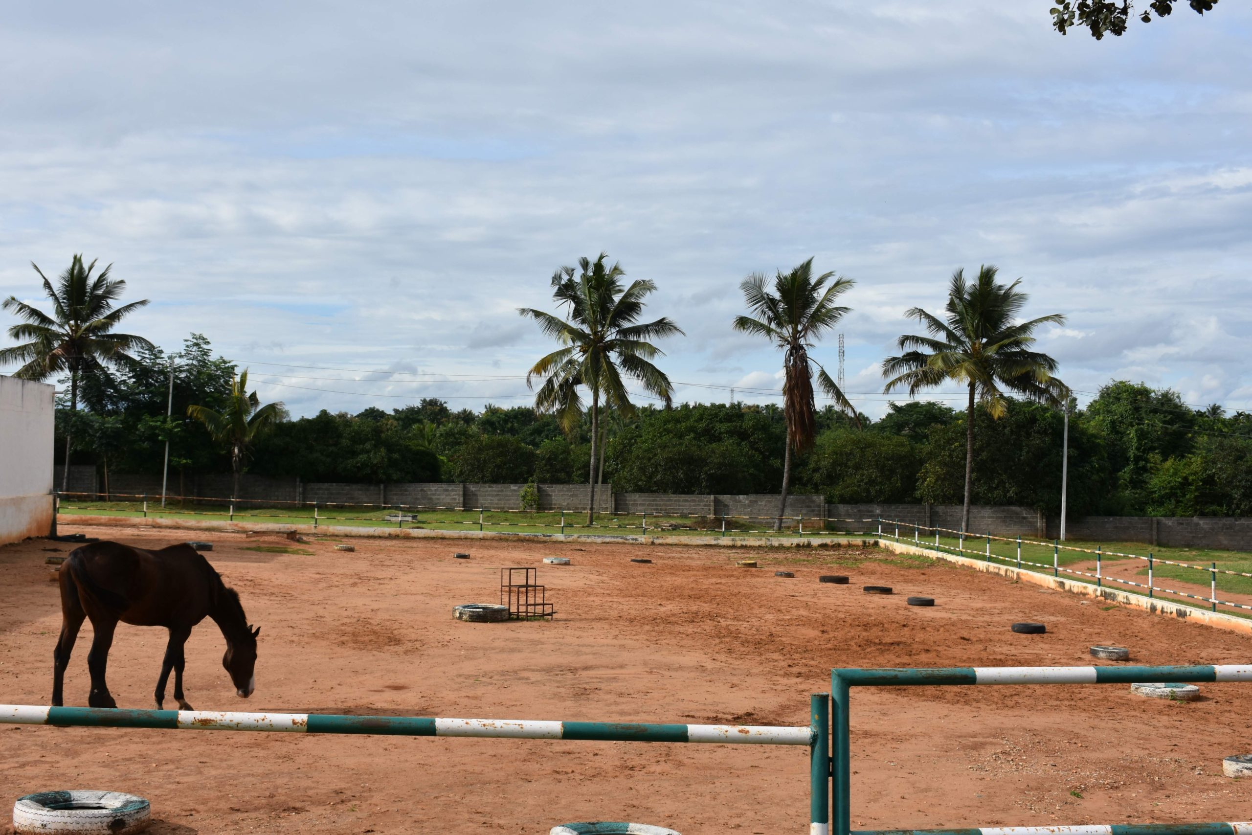 BGSIRS-Horse-Riding