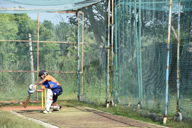 Cricket